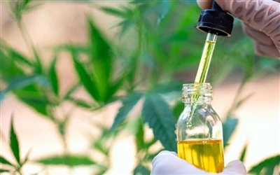 9 Οφέλη για την υγεία του ελαίου CBD — και παρενέργειες